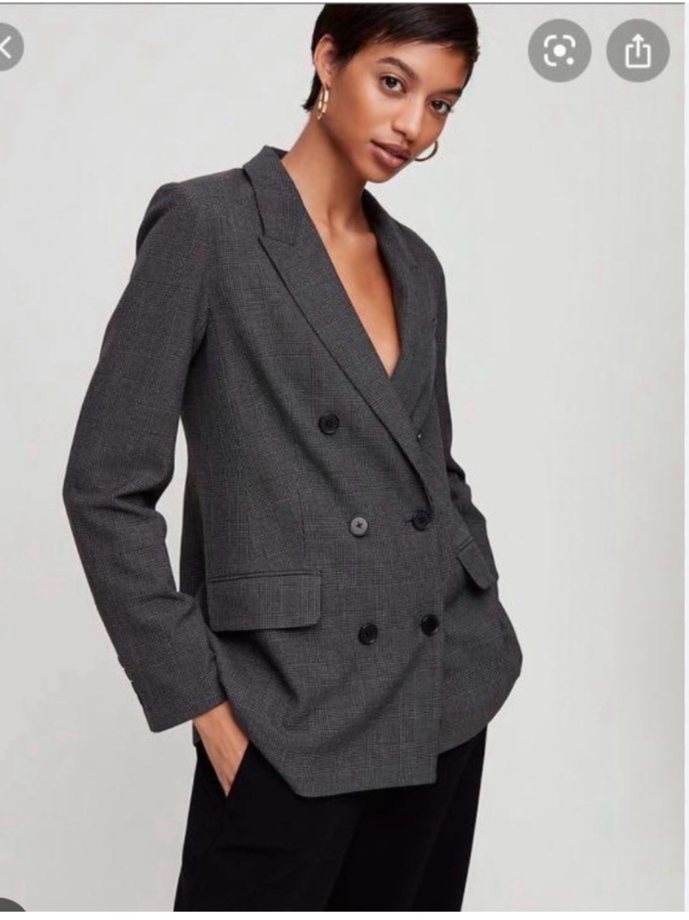 Aritzia Babaton Samuel Blazer Double-Breasted Gray